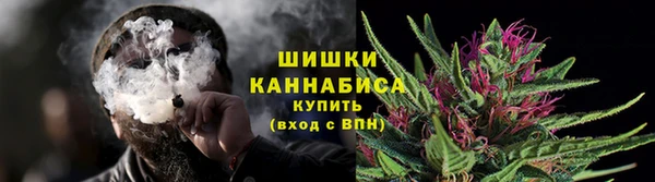 ГАЛЛЮЦИНОГЕННЫЕ ГРИБЫ Алексеевка