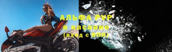 гидра Белокуриха