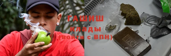 индика Беломорск