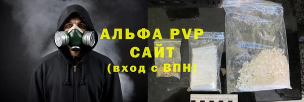 гидра Белокуриха