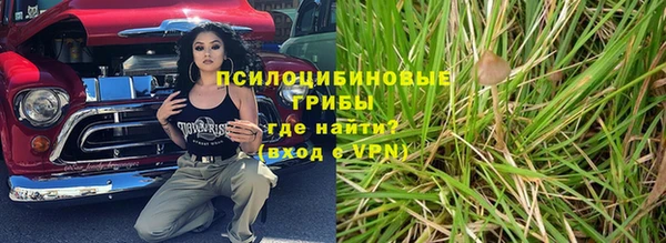индика Беломорск