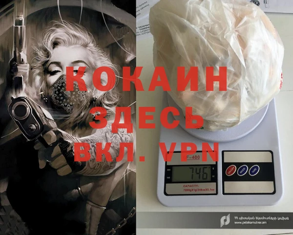 гидра Белокуриха