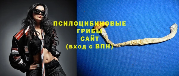 индика Беломорск