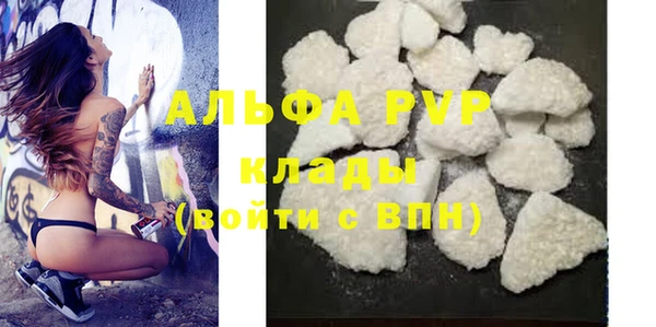 индика Беломорск