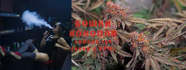 гидра Белокуриха