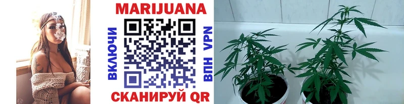 Конопля Bruce Banner даркнет сайт Можга
